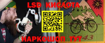 шишки Новокубанск