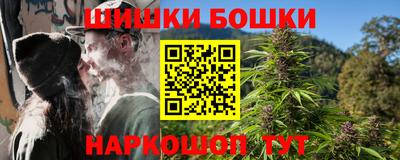 шишки Новокубанск