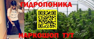 шишки Новокубанск