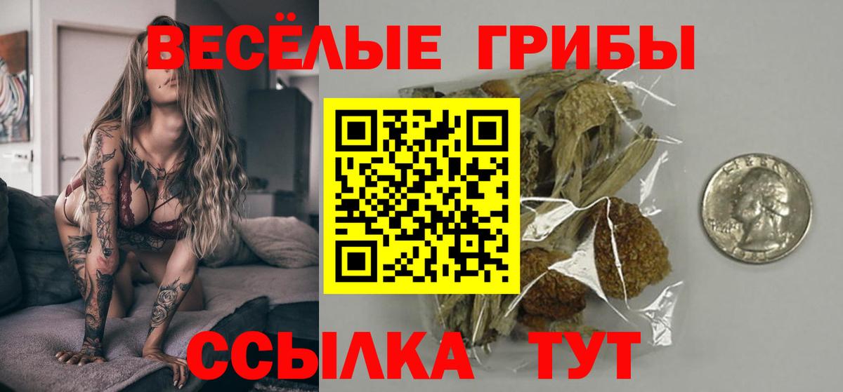 Галлюциногенные грибы Psilocybine cubensis  Вход с VPN  Сыктывкар  Галлюциногенные грибы Magic Shrooms 