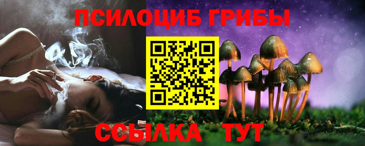 Псилоцибиновые грибы MAGIC MUSHROOMS Сыктывкар